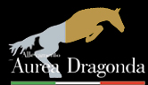 Allevamento Cavalli Aurea Dragonda - Home Page